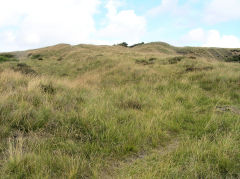 
Hill Pit incline, Blaenavon, July 2010